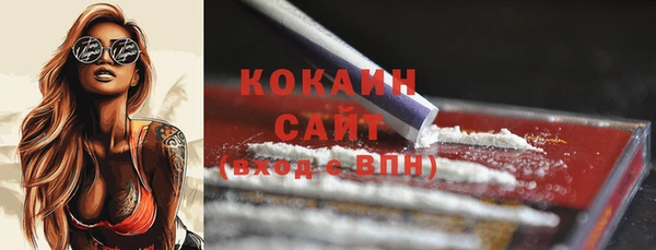 прущая мука Богородицк