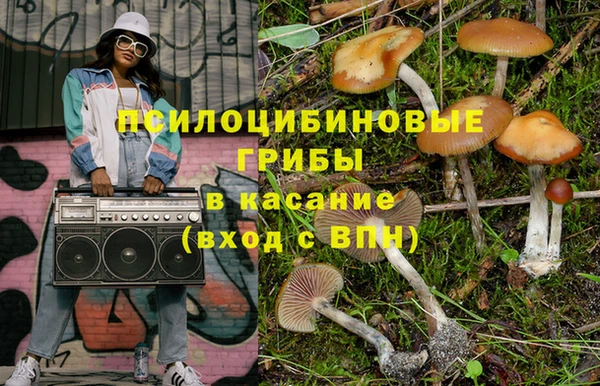 прущая мука Богородицк