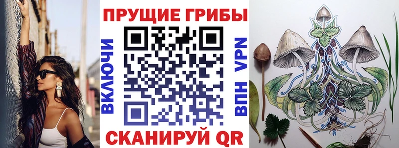 закладка  Чита  ссылка на мегу ссылки  Галлюциногенные грибы мухоморы 